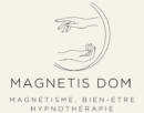 Logo Magnétis Dom